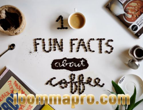 KAMU HARUS TAU 10 FAKTA UNIK TENTANG KOPI